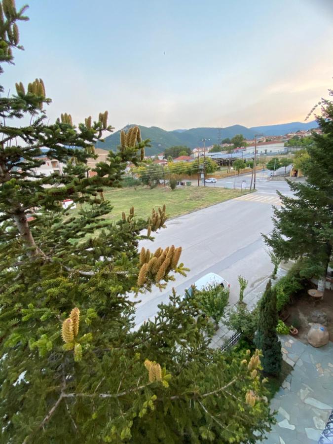 House - Spacious With 2 Bedrooms And Mountain View